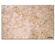 Электрический конвектор Stiebel Eltron MHJ 165 E