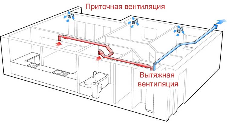 правильная система питания для похудения меню правильная система питания для похудения меню